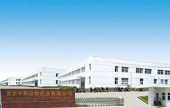 关于我们 关于我们